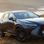Unveiling The Power and Elegance of Lexus NX Crossover Cars