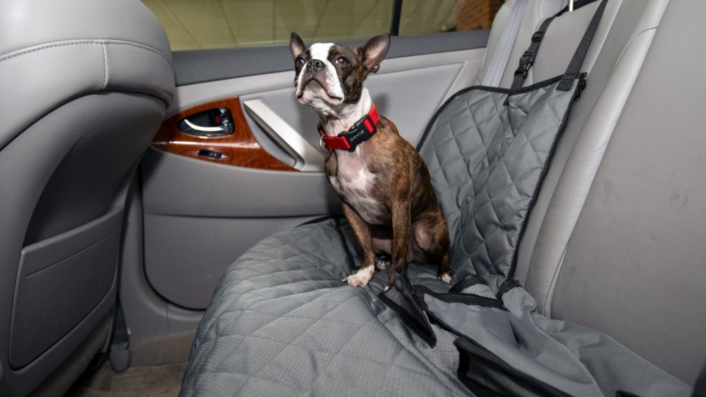 How a Dog Seat Cover Can Help Reduce Random Messes and Pet Smells