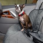 How a Dog Seat Cover Can Help Reduce Random Messes and Pet Smells